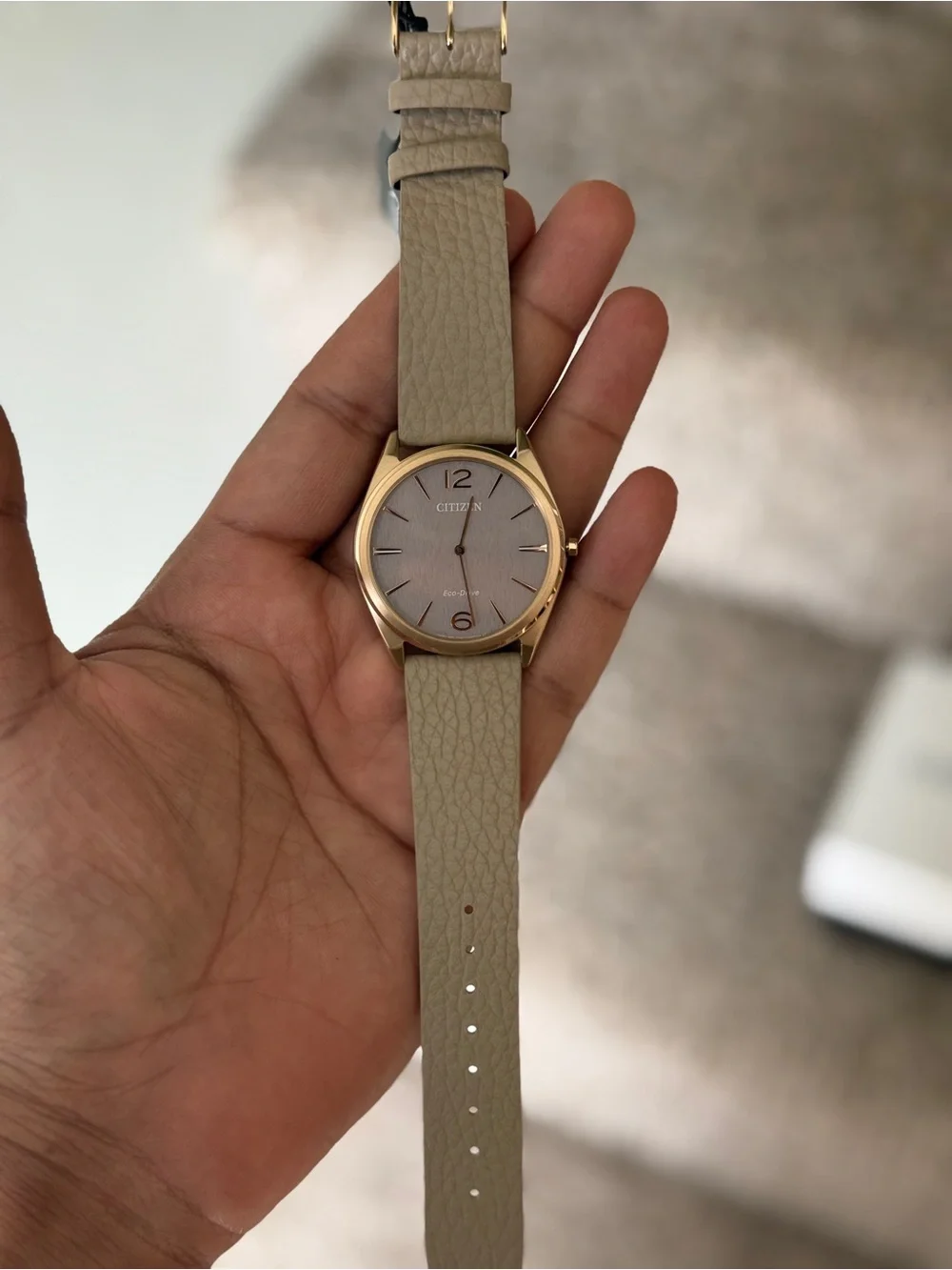 Citizen Men's Taupe Dial thinnest Watch with Gold-Tone eco drive leather watch